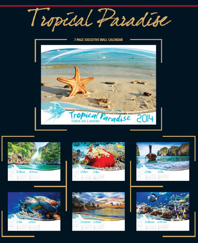 2014 Calendar underwater and beach scenes