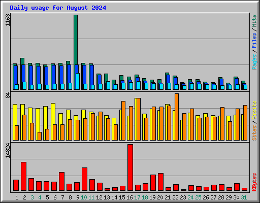 Daily usage for August 2024
