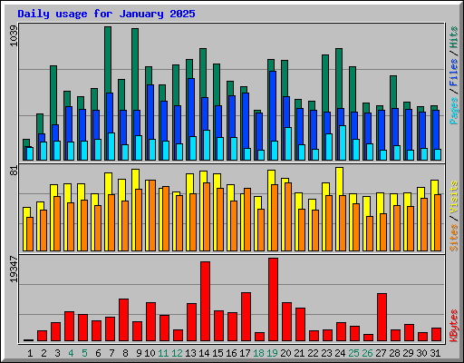 Daily usage for January 2025