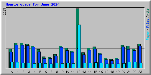 Hourly usage for June 2024