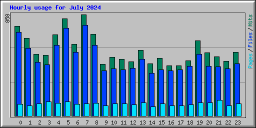 Hourly usage for July 2024
