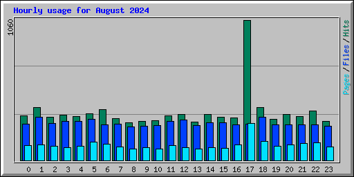 Hourly usage for August 2024