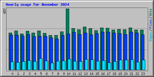 Hourly usage for November 2024