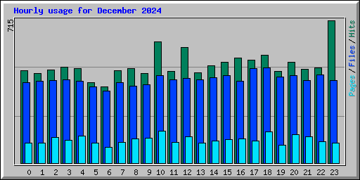 Hourly usage for December 2024