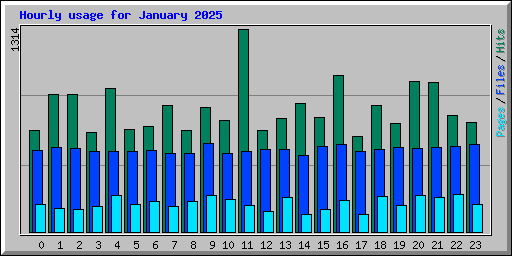 Hourly usage for January 2025